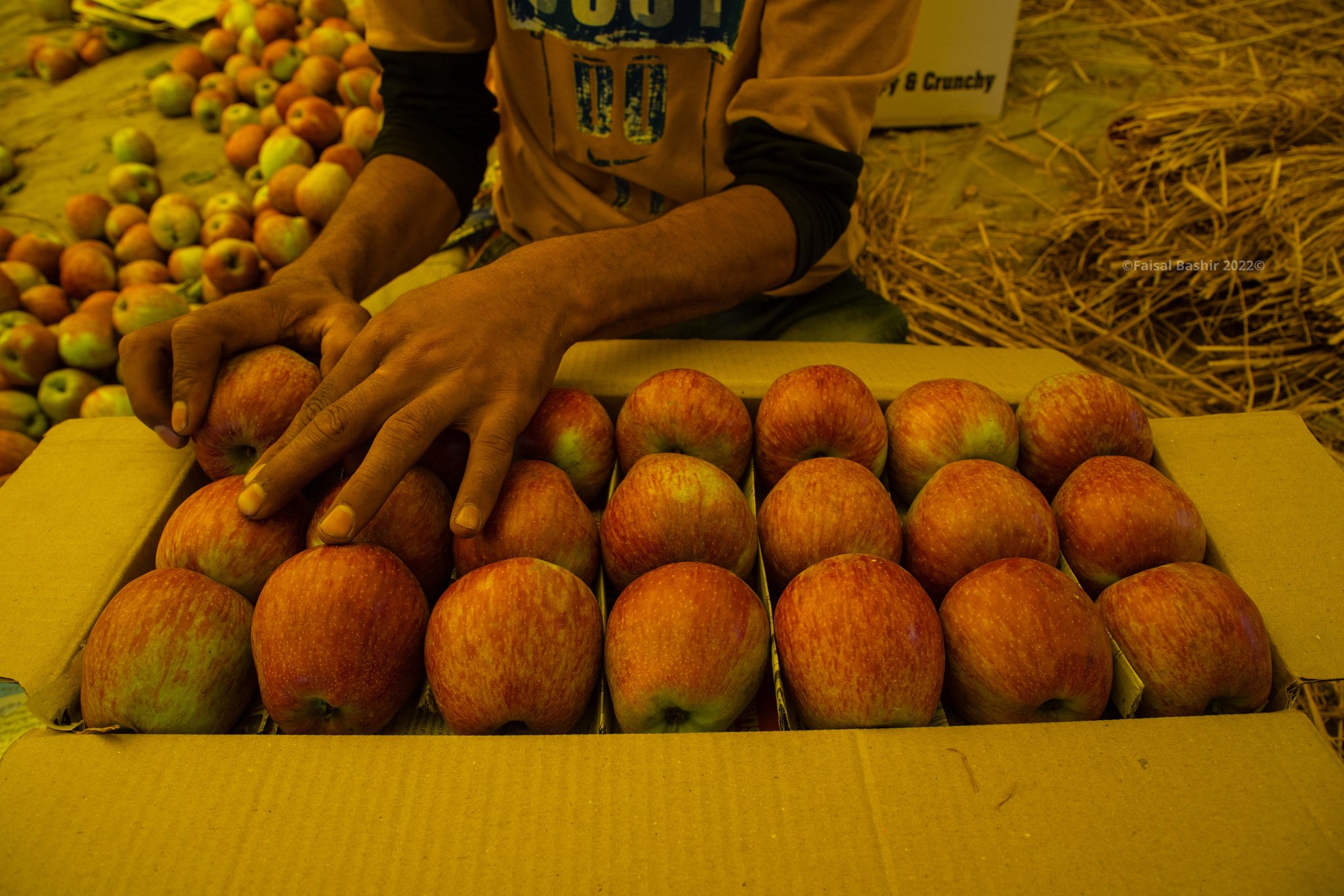 Kashmir fruit growers worried in the face of low demand, rates Roshan Kashmir